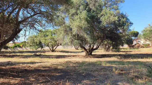 Parcela en venta - Marbella — 5