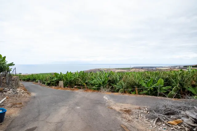 Finca en Adeje — 11
