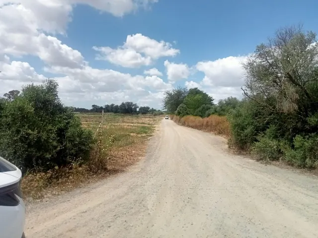 VENTA DE PARCELA EN LA CORCHUELA - foto 5