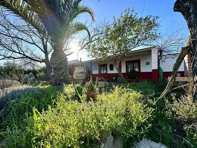 ADAMUZ - FINCA AGRICOLA DE 6 Has. CON CASA. — 10