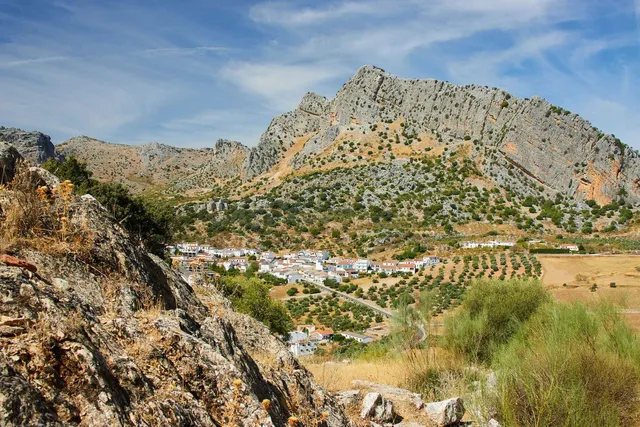 Parcela en venta - Andalucia — 3