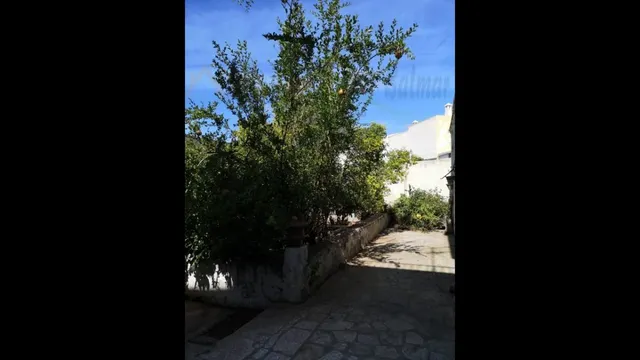SE VENDE CASA ANTIGUA CON TERRENO DE 3 PLANTAS EN BERJA — 25