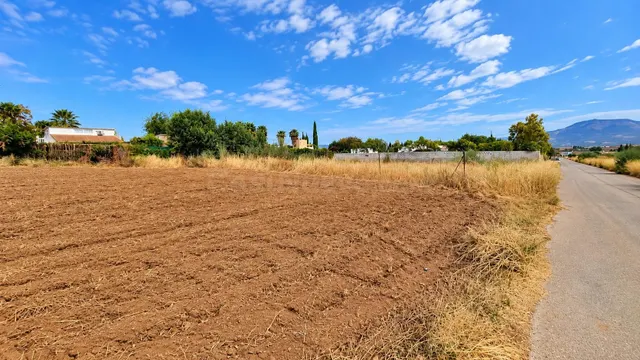 Parcela rústica de 4.824 m2 en Llanos de Moraleda, Moraleda  - foto 4