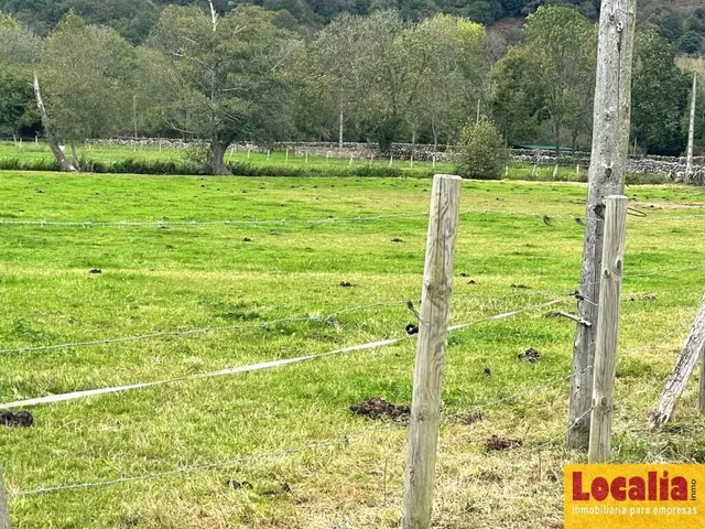 Interesante suelo urbano de 8 mil m² en Ruente - foto 4