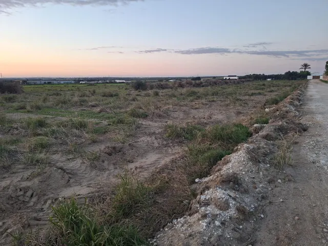 Parcela de 12.000 m2 en marquesado — 7