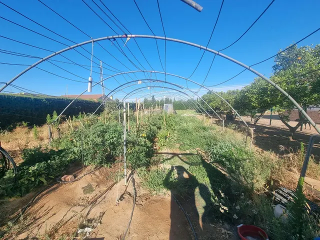 Finca rustica el pintado, Gibraleón — 48