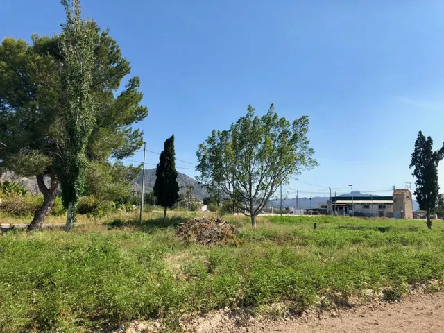 PARCELA URBANA 1750 M2 "Hazte tu casa a 10 Minutos de Murcia"  PROYECTO Y LICENCIAS. — 5