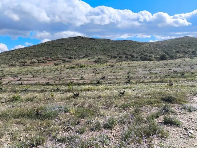Terreno Rural en Venta en Alboloduy - foto 3