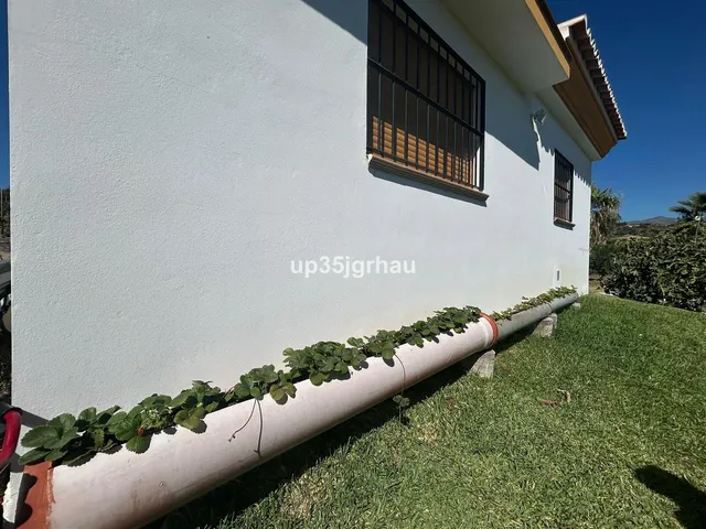 Finca rústica 1 habitación 60m² en venta - Costa Del Sol — 6