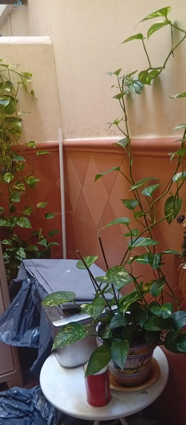 piso en venta en San Francisco — 20
