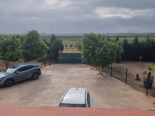 Finca rustica el pintado, Gibraleón — 29