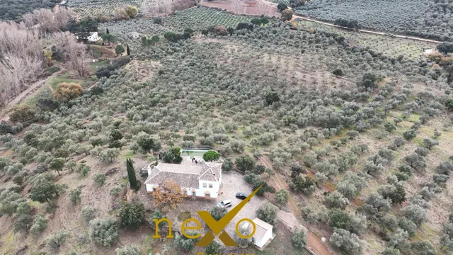 FINCA RUSTICA LAS NAVAS DE LA CONCEPCION - foto 5