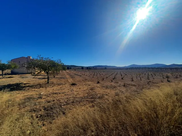 FINCA RÚSTICA EN ALMANSA — 17