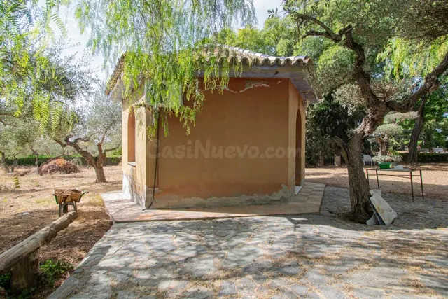 Espectacular finca en carretera mairena - almensilla !!! — 43