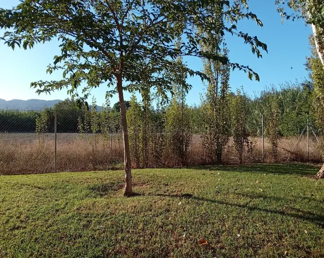 Venta de 5 Suelos Urbanos Residenciales - foto 5