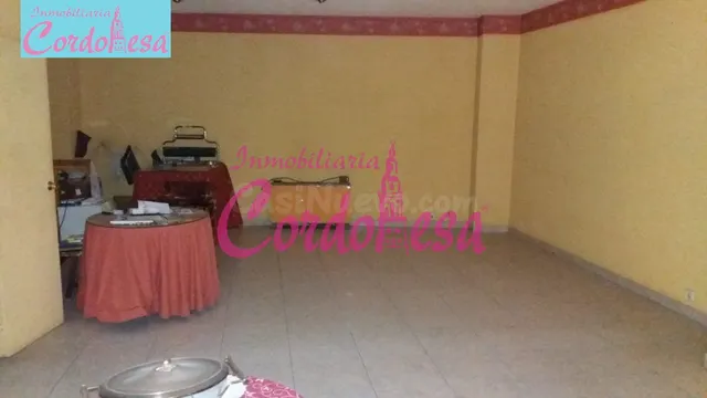 FANTASTICO LOCAL COMERCIAL EN PLENO CENTRO — 3