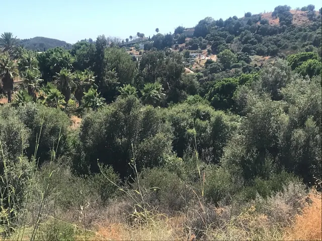 Parcela en venta - Costa Del Sol — 6