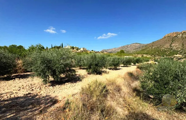 Parcela 99m² en venta - Ricote - foto 2