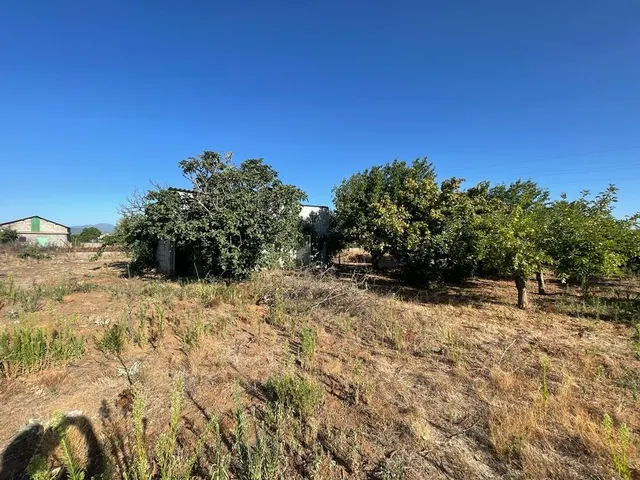 SE VENDE PARCELA CON CASETA — 24