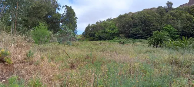PARCELA TACORONTE 12.119 m2 — 9