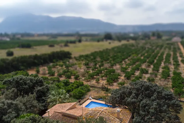 Villa 5 habitaciones 370m² en venta - El Palmar-Los Molinos — 39