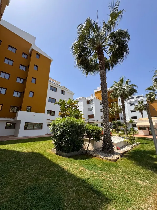 Apartamento con piscina comunitaria, Alicante, Torrevieja. 2 habitaciones, 80 m2, 500 metros del mar — 45