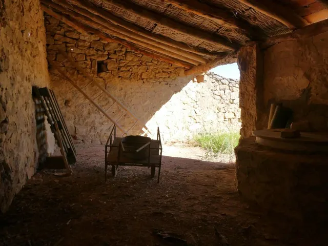 Suelo rústico en Venta en Maella Zaragoza — 14