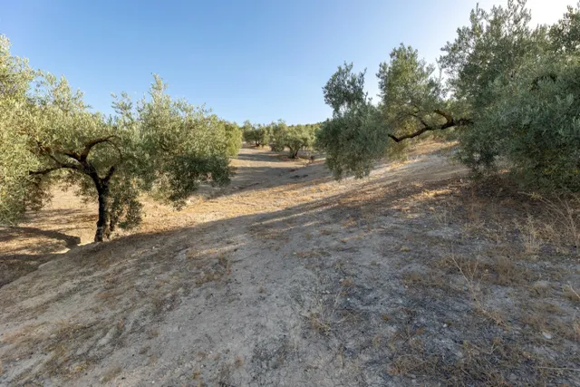 Terreno rural en venta - Alfacar — 21