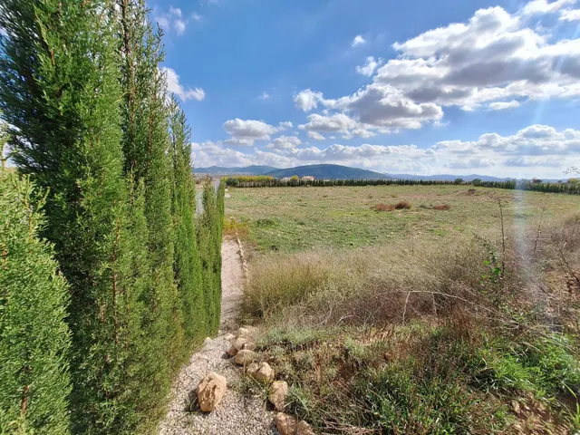 ¡Parcela edificable de 16.964 m2, vallada, con camino perimetral, agua de riego e informe urbanístico disponible, a solo 5 minutos de Pinoso! — 17