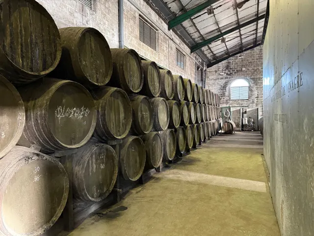 Viñedo de 24,40ha 1300m2 naves y 400m2 restaurante — 21