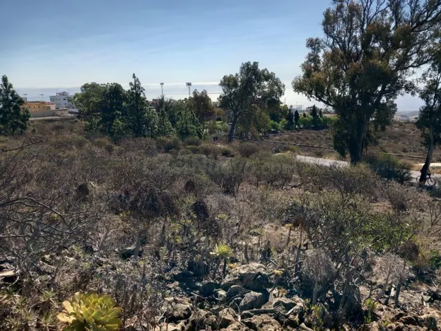 Bonito terreno en zona las Chozas, Granadilla de Abona - foto 5