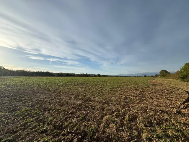 Terreno rústico de 23.000 m2 en Garriguella – Un entorno nat - foto 5