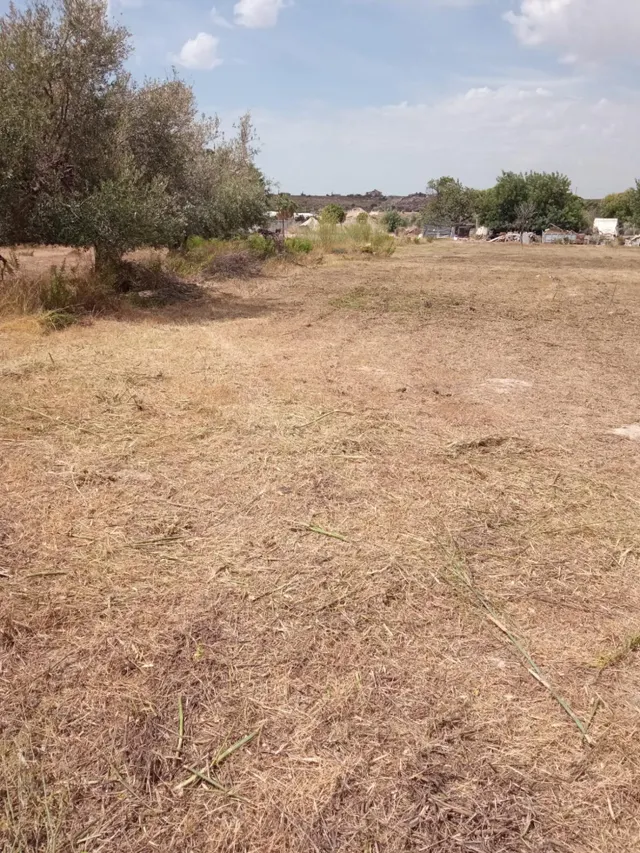 Parcela Rústica de 3.700m2 con Agua de Riego a 4,5 km de Mutxamel y a 9 km de la Playa — 9
