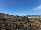 Terreno forestal a la venta en Sopela. - foto 3