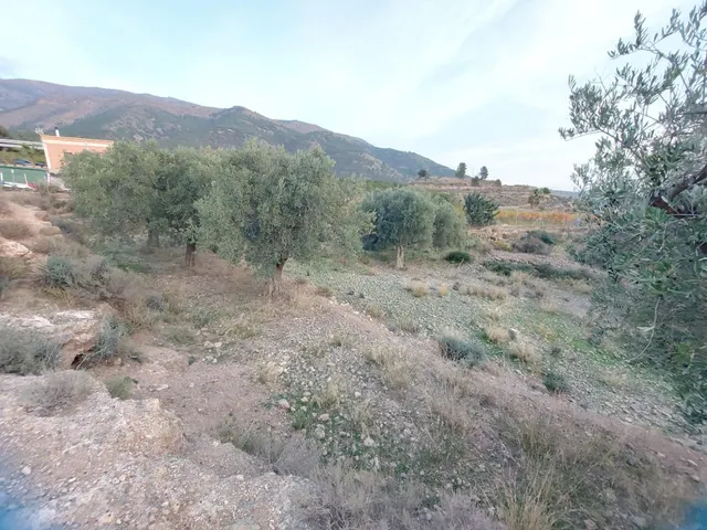 Parcela en venta en la zona de Castala. — 3
