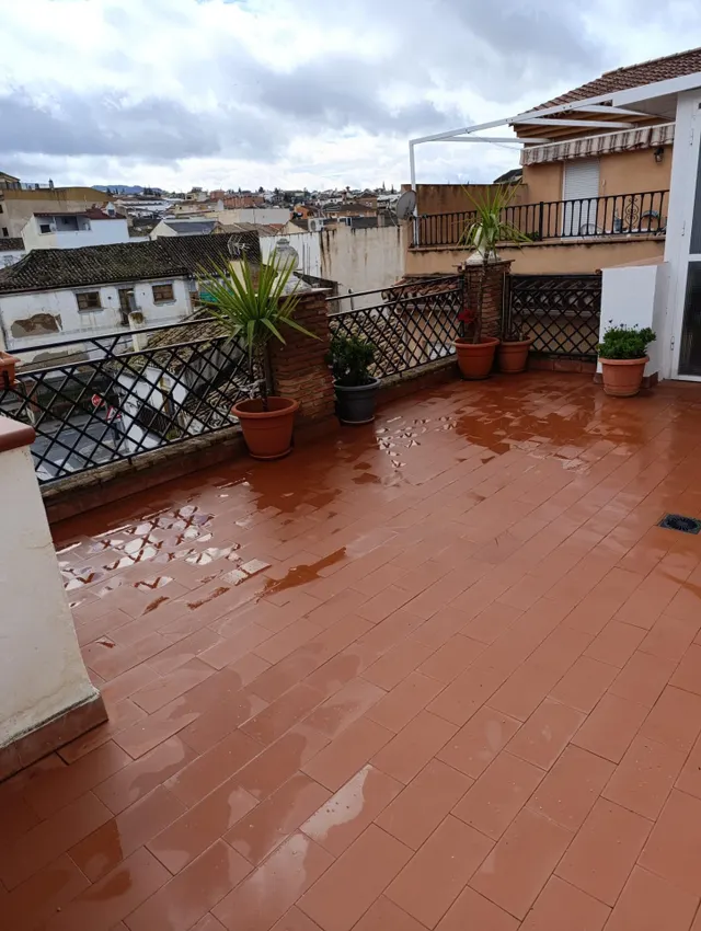 OPORTUNIDAD DE ATICO EN LA ZUBIA — 9