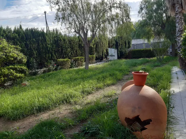 Chalet independiente zona Cucuch en rentabilidad — 18