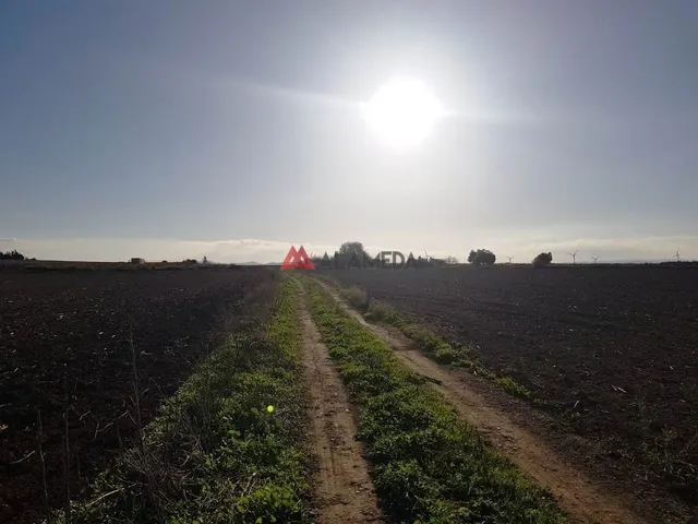 PARCELA SEGREGADA MIRALAMAR — 14