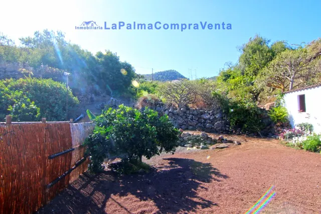 Casa-Chalet en Venta en Roque Faro Santa Cruz de Tenerife - foto 4