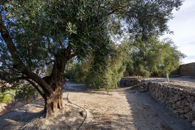 Finca rústica en venta en Pinos del Valle (Valle de Lecrín) — 22