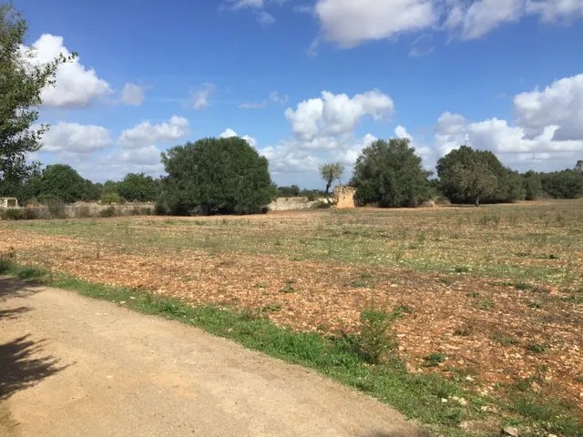 Finca rústica en Felantix. - foto 3
