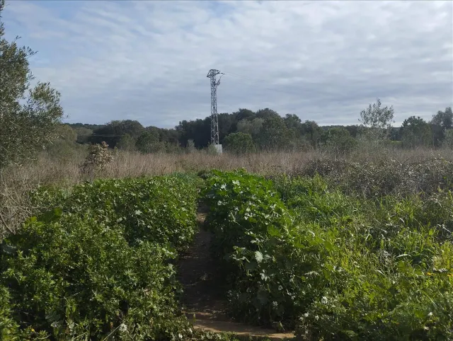 Terreno urbano 878m² en venta - Piverd-La Roella-Bruguerol — 10