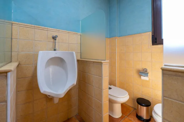 VILLA DE LUJO EN CATRAL . — 29