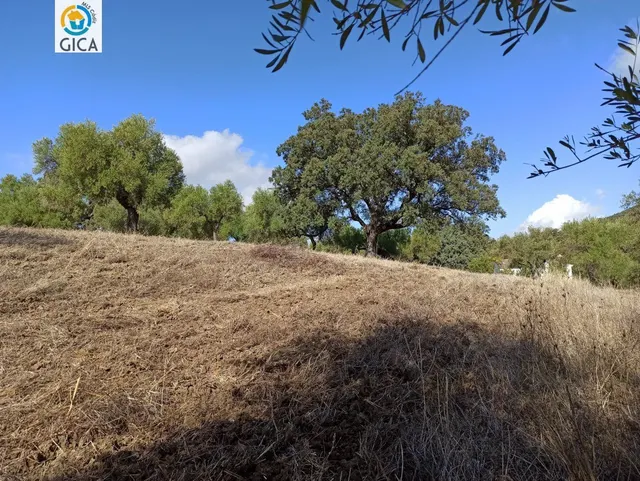 CASA CON PARCELA  EN LA SIERRA DE CADIZ -EL BOSQUE — 28