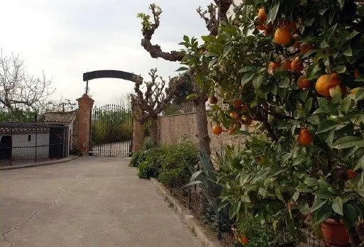 Masia de 150 hectáreas a 15 minutos de Barcelona — 25