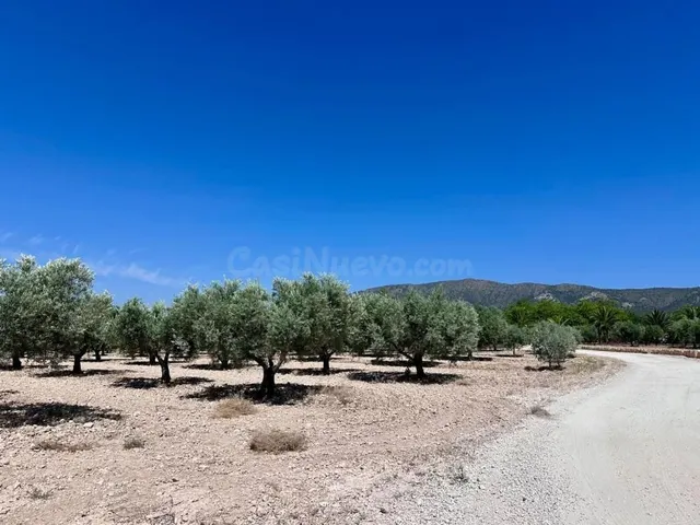 Parcela en venta - Comunidad valenciana - foto 2