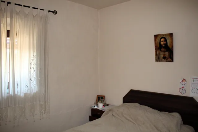 MAGNIFICO OLIVAR CON CASA, COCHERA PARA APEROS Y PISCINA ENTRE VILLAHARTA Y POZOBLANCO. — 20