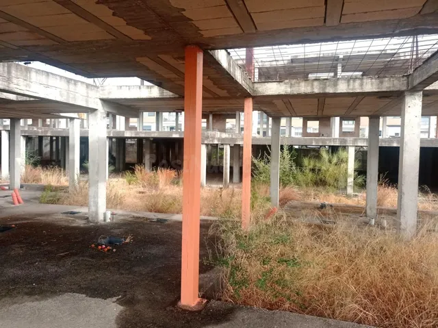 Solar en Las Pajanosas (Guillena), junto a la A-66 y a 20 mi - foto 5