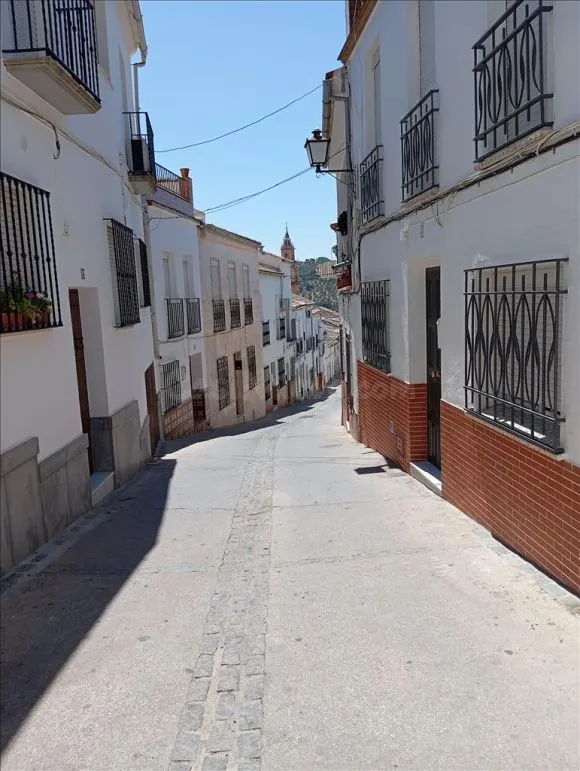 Casa 4 habitaciones 165m² en venta - Andalucia - foto 3