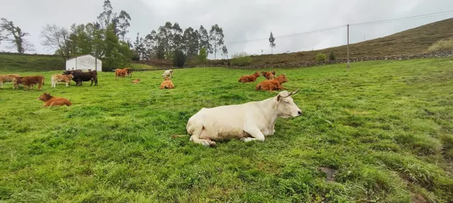 FINCA RÚSTICA CON CABAÑA Y VISTAS PANORÁMICAS EN LUENA.- — 2